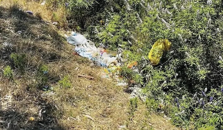 Batarya Deresi’nde piknikçilerin bıraktığı atıklar tepki çekti