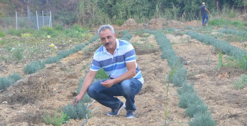 Bu köyün üstünde bir lavanta bahçesi var