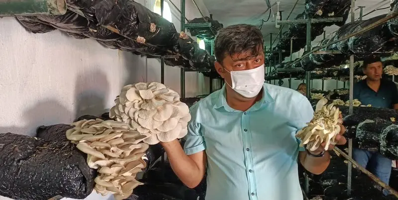 İlçe Tarım Müdürlüğü teşvik ediyor, çiftçiler üretiyor