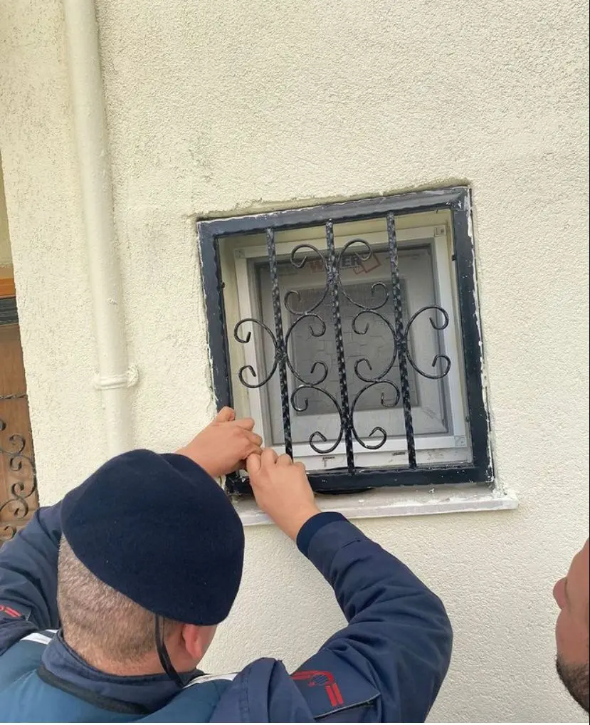 Kedisini evde unutup yurtdışına çıktı