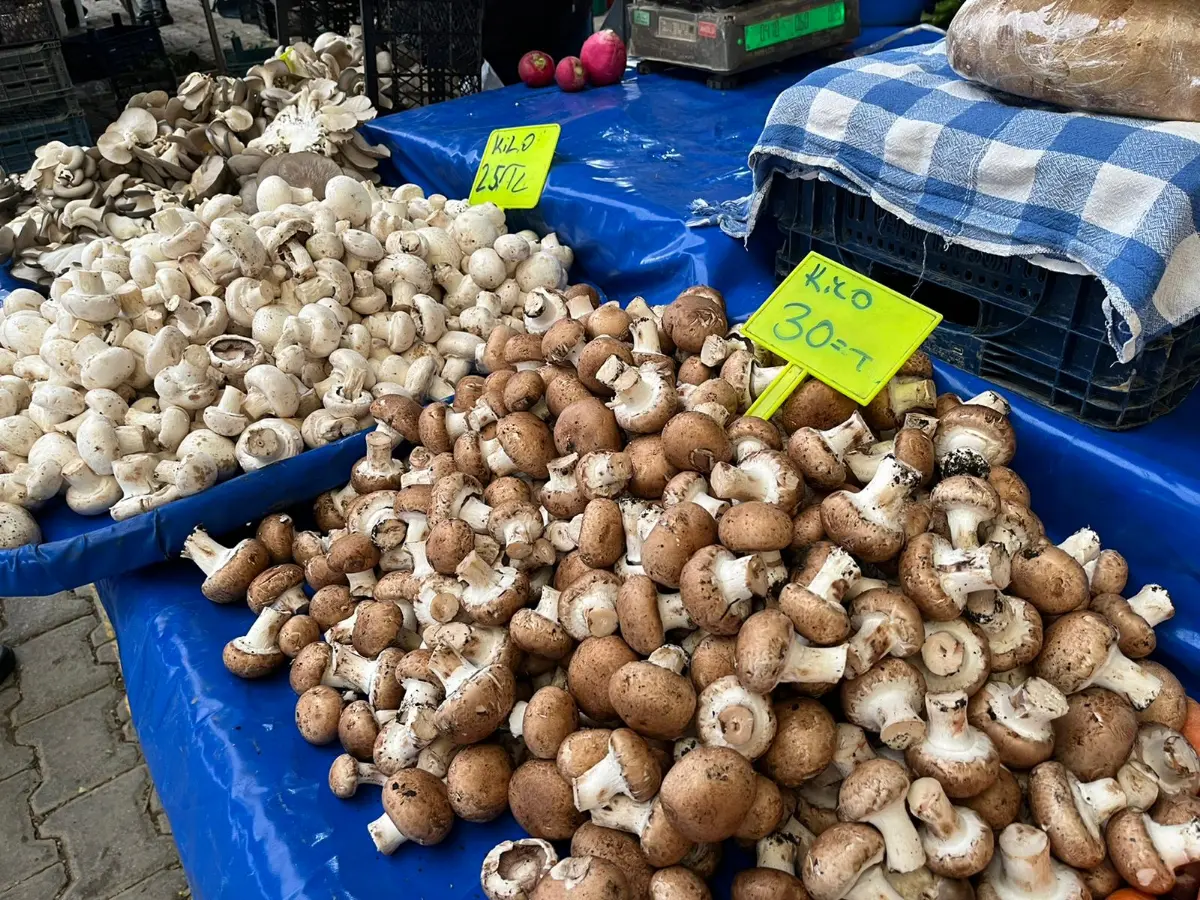 Kestane ve mantar fiyatları dövizle yarışıyor