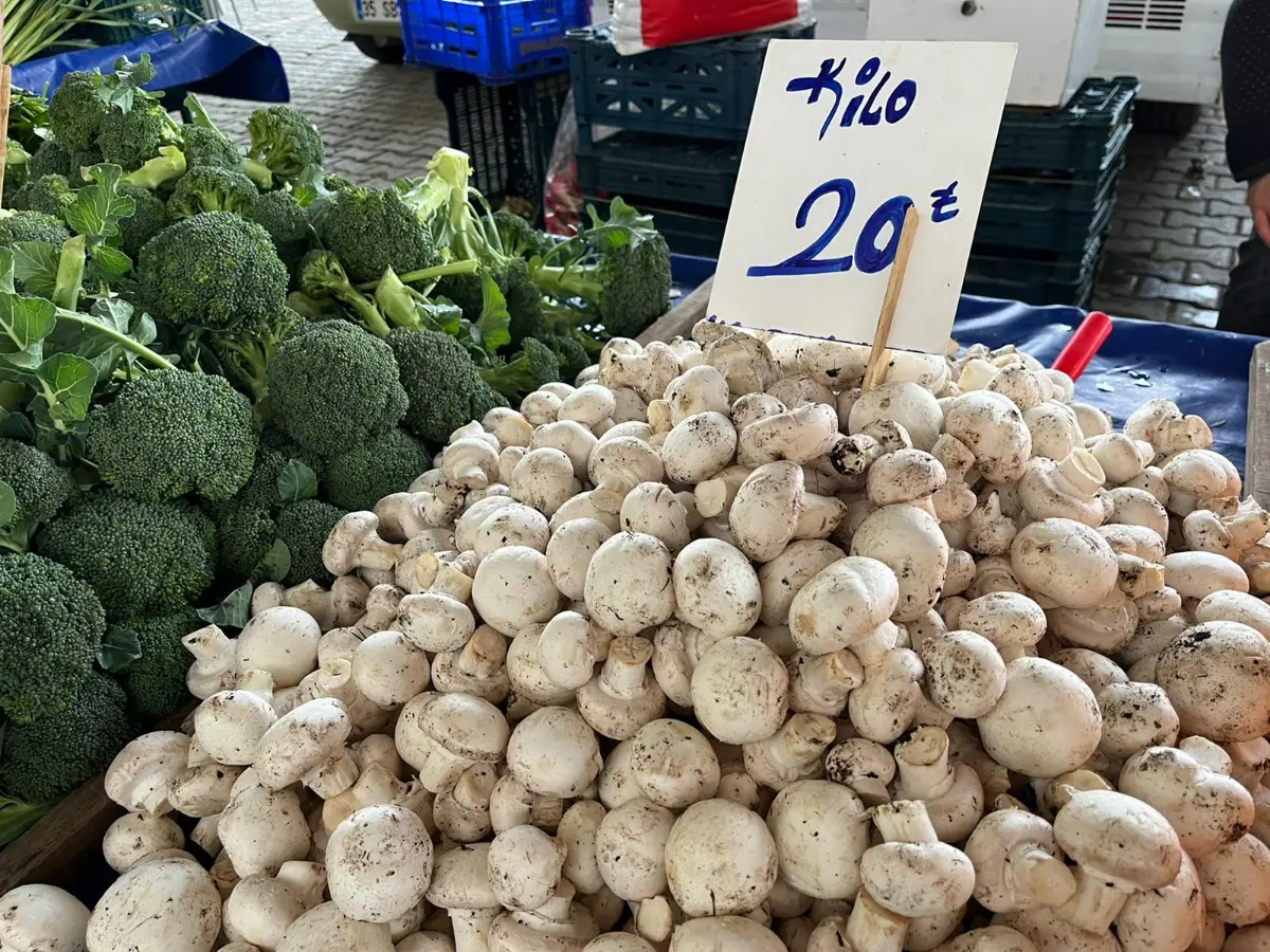 Kestane ve mantar fiyatları dövizle yarışıyor