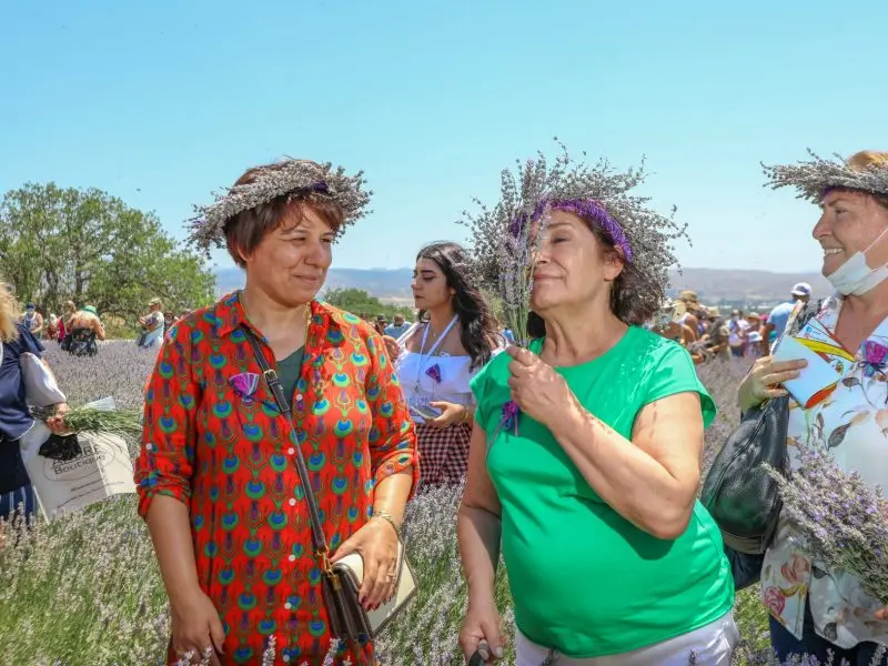 Lavanta hasadı şenlik havasında geçti