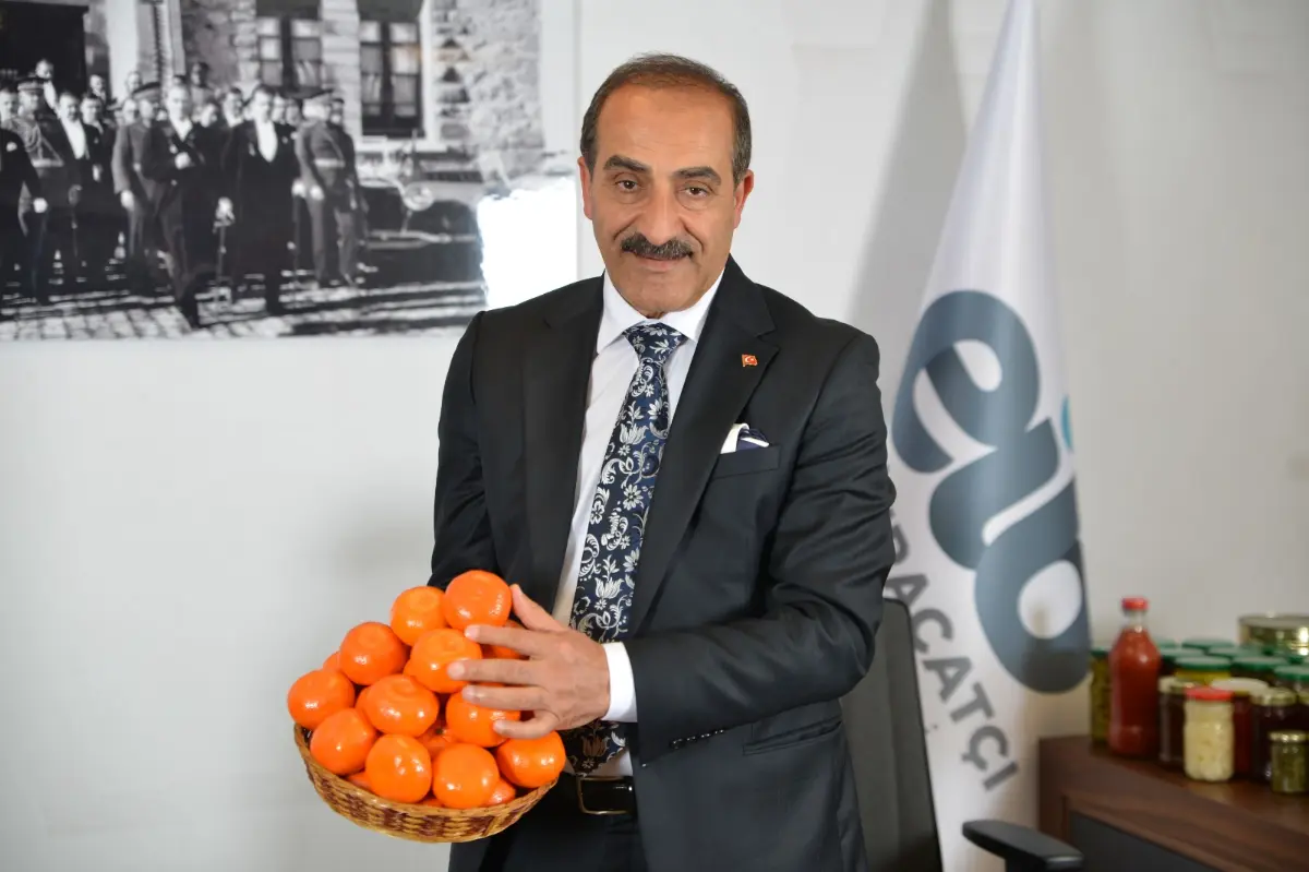 Narenciye rekoltesi bu sene 442 bin ton