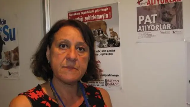 O vahşete takipsizlik!
