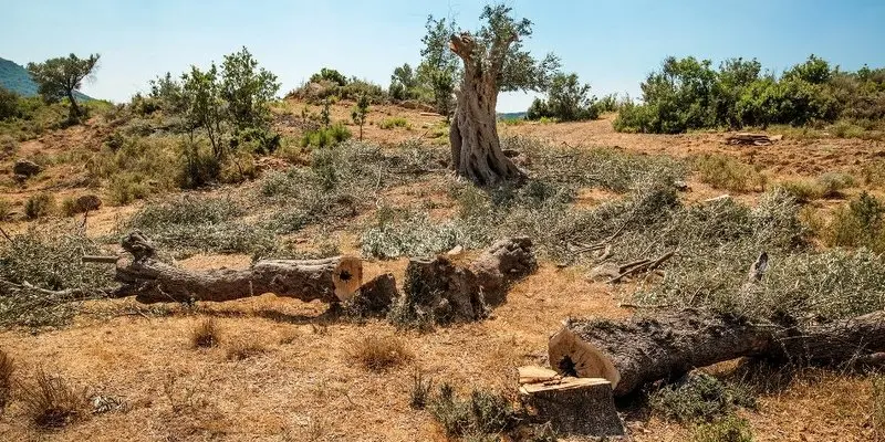 Orhanlı’da halkın katılımı toplantısı yapılacak