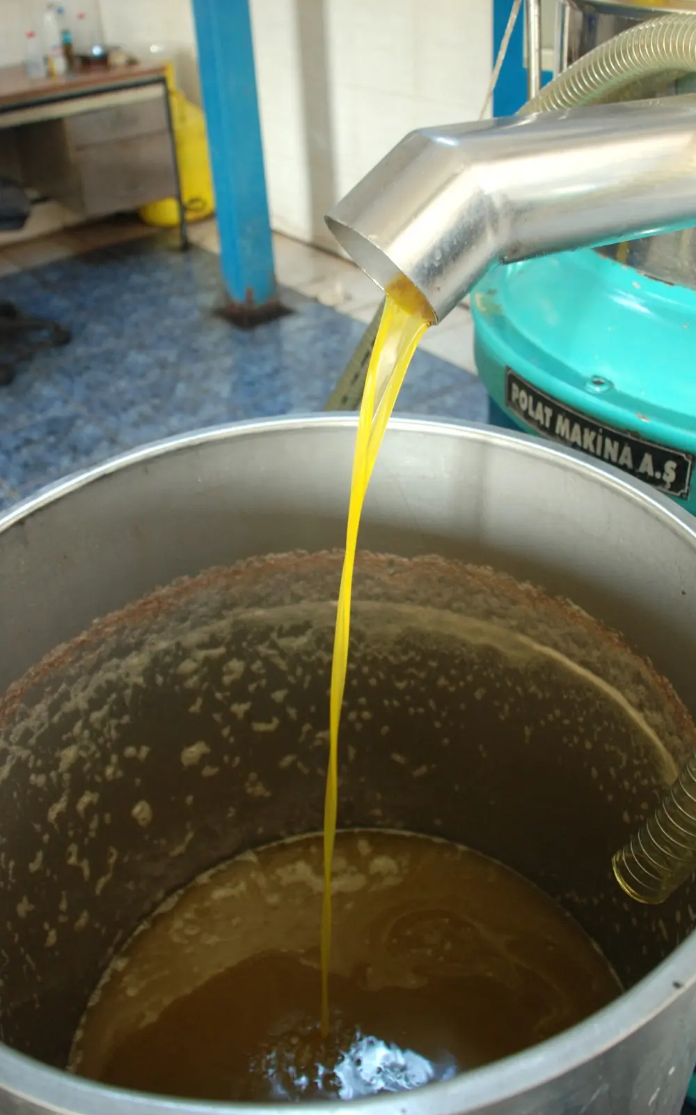 Seferihisar Belediyesi’nden her ay 2 litre zeytinyağı