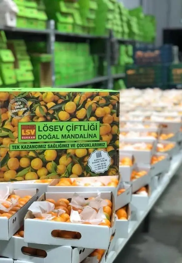 Seferihisar LÖSEV Doğal Ürünler Çiftliği’nde umut var