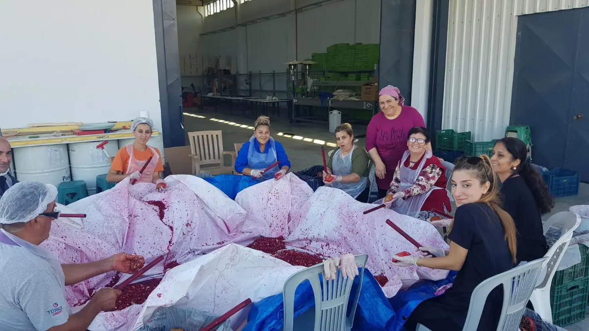 Seferihisar LÖSEV Doğal Ürünler Çiftliği’nde umut var