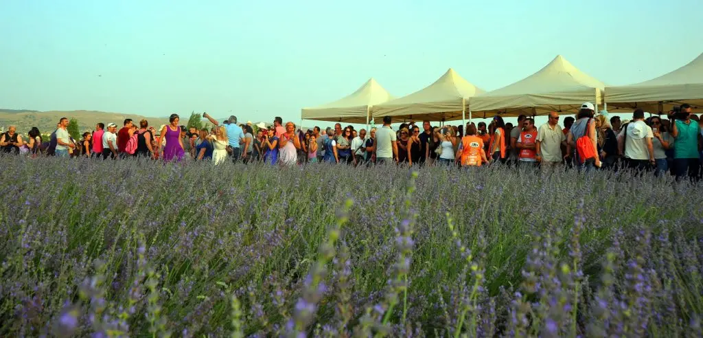 Sakin şehirler başkentinde mis kokulu festival