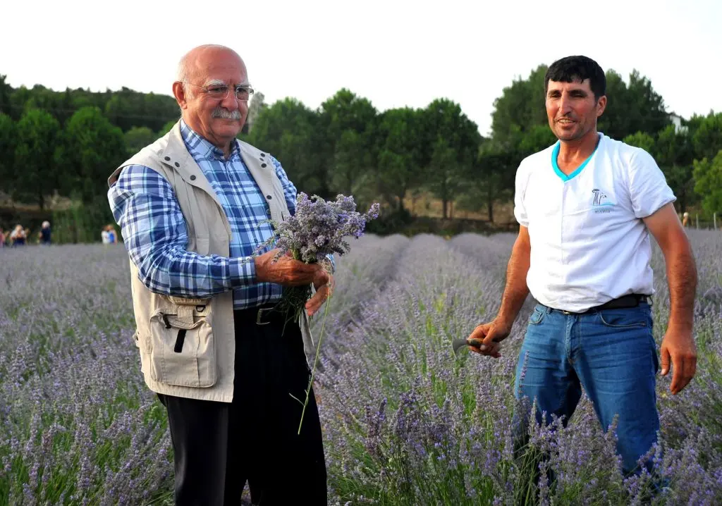 Sakin şehirler başkentinde mis kokulu festival