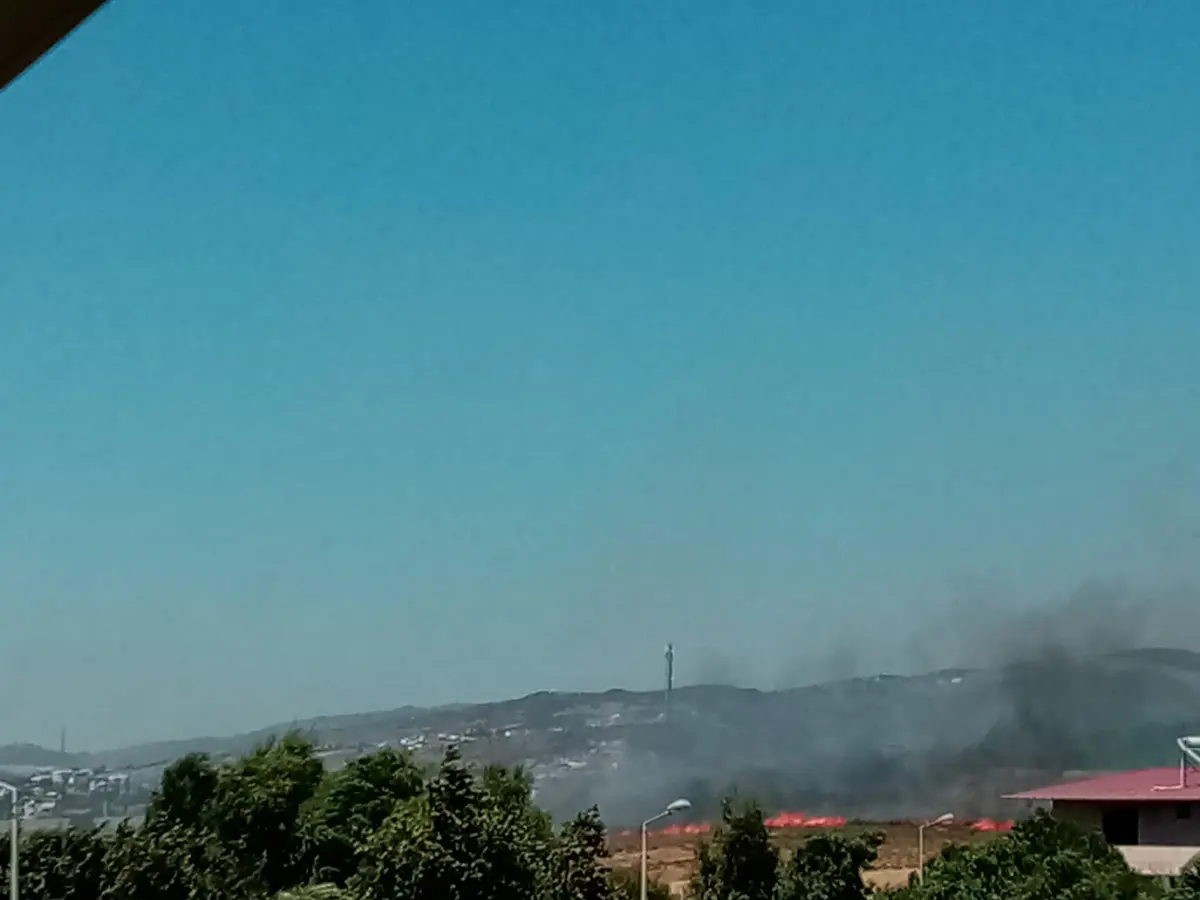 Seferihisar’da korkutan yangın