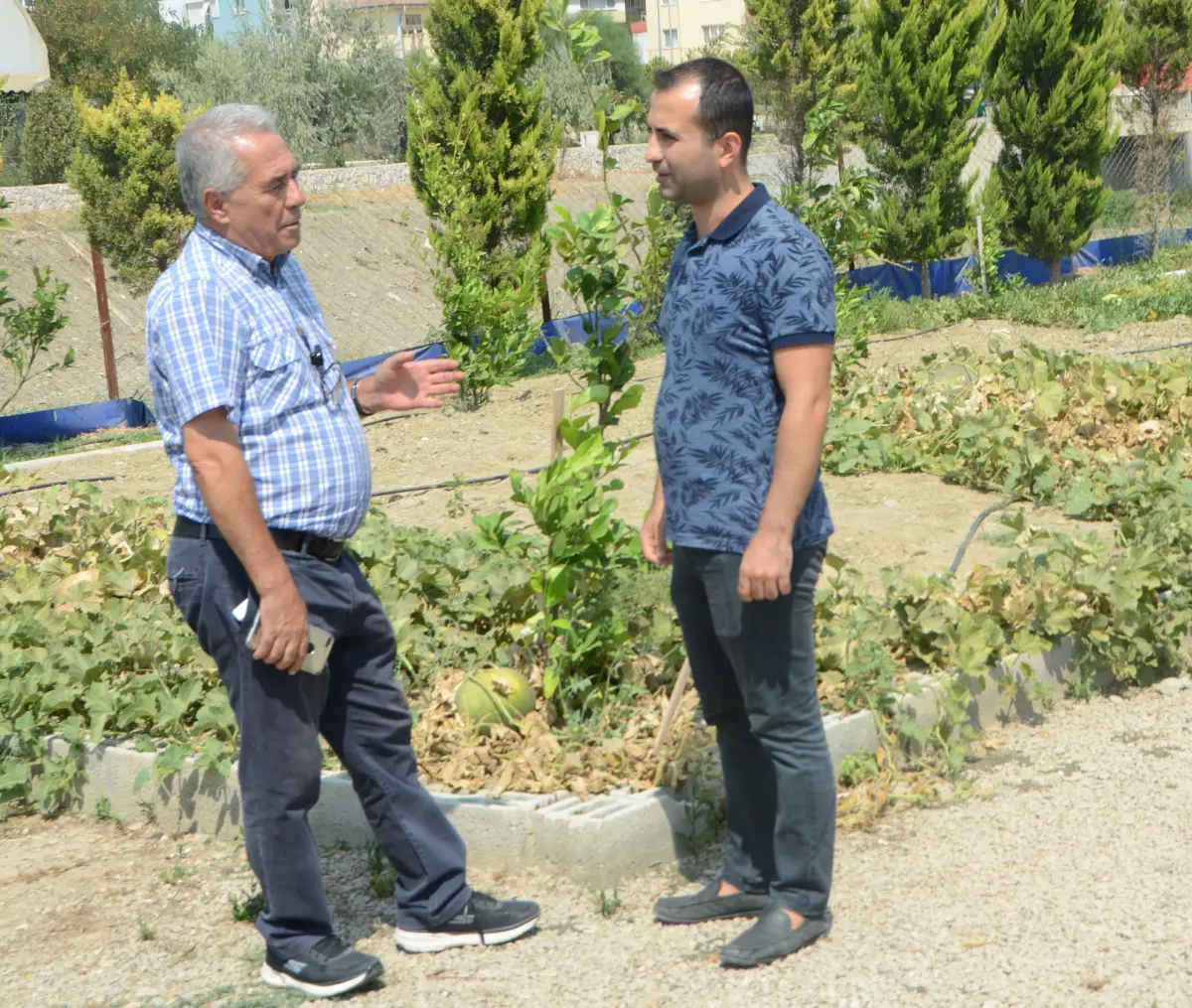 Seferihisar’ı yeşillendirme kampanyası için harekete geçtiler