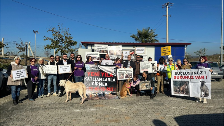 SEHAYDER’den güçlü mesaj "Devlet yaşatır, yaşamak haktır"