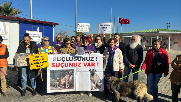 SEHAYDER’den güçlü mesaj "Devlet yaşatır, yaşamak haktır"