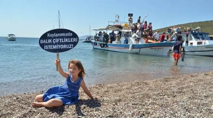 Sığacık Körfezi balık çiftliklerinin istilası altında!