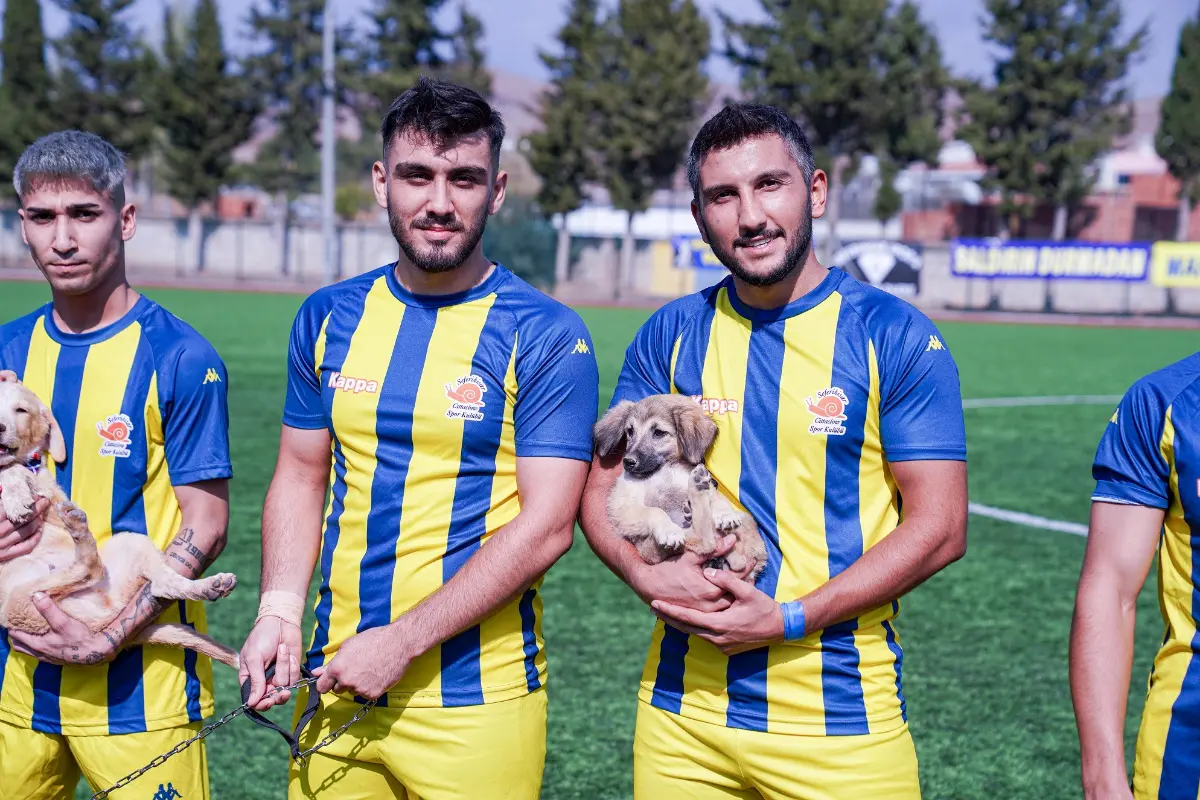 Sokak hayvanlarına karşı farkındalık tam not aldı