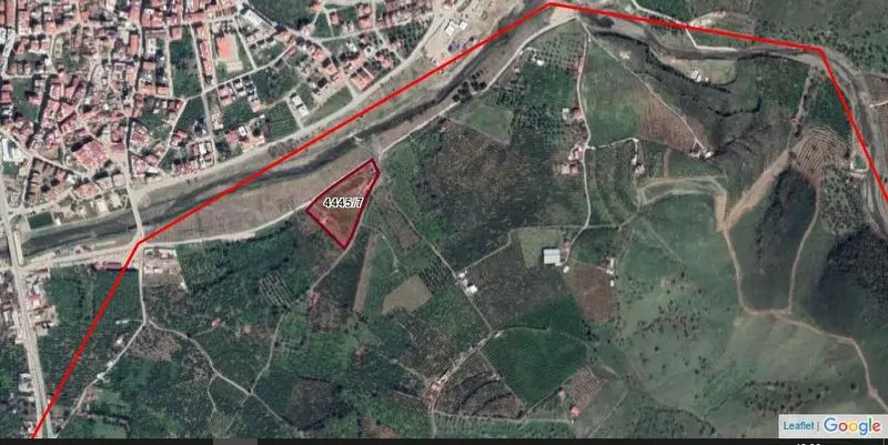 Tarım alanındaki hafriyat, mandalinaları öldürüyor
