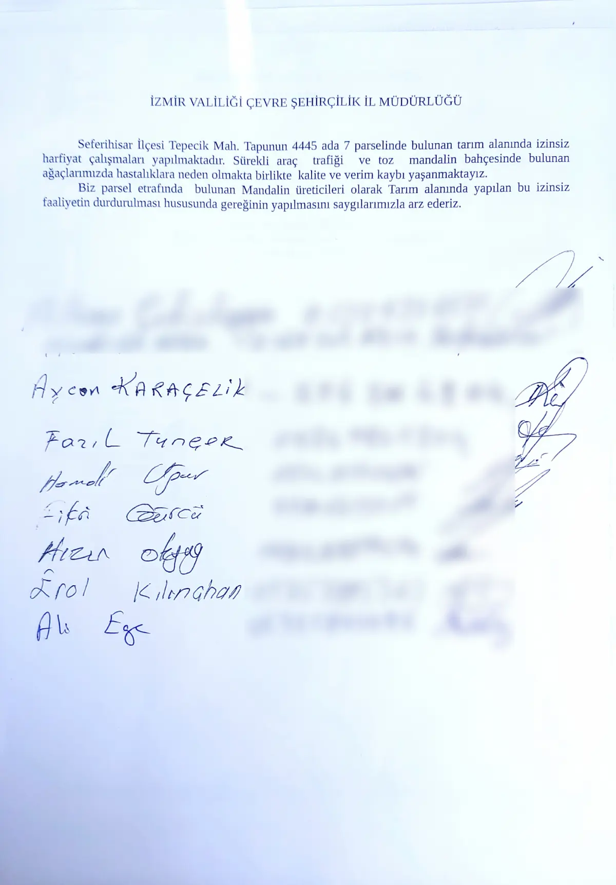 Tarım alanındaki hafriyat, mandalinaları öldürüyor
