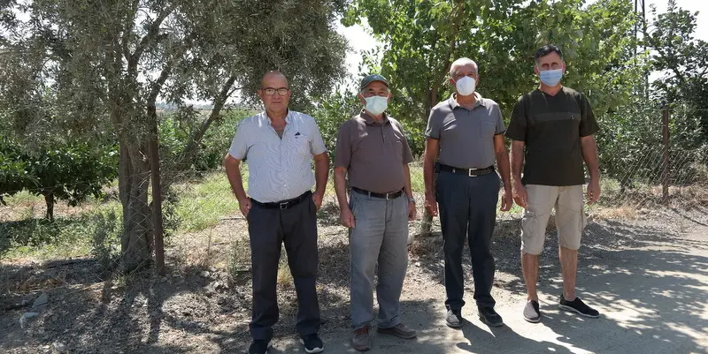Tarım alanındaki hafriyat, mandalinaları öldürüyor