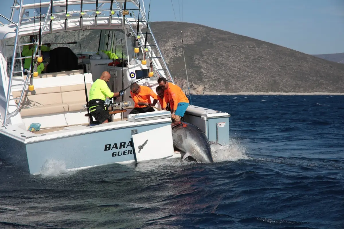 Tuna Masters Teos’a rekor katılım