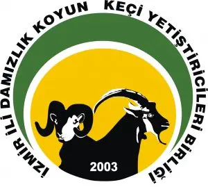 Sütte Soğuk Zincir, GÜNEŞ ENERJİSİ ile büyüyor!‏