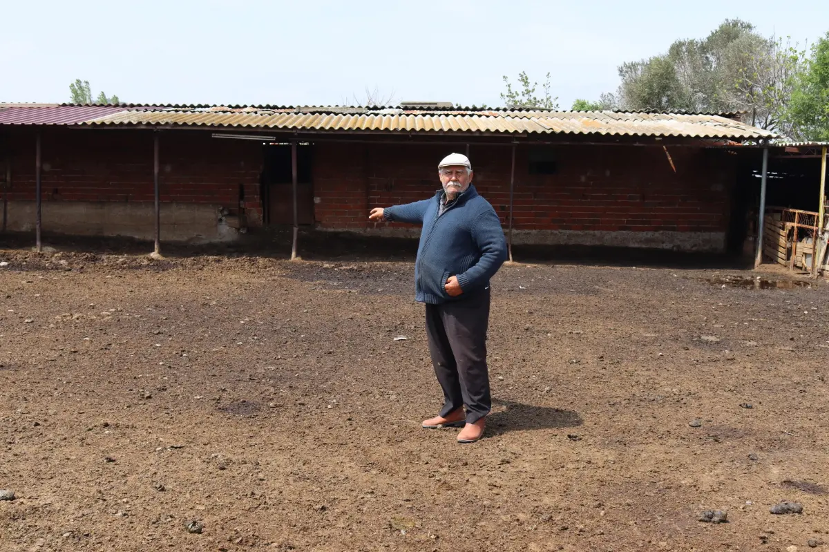 Yem fiyatları sürekli artarken süt fiyatında indirim yapılması besicileri zora soktu