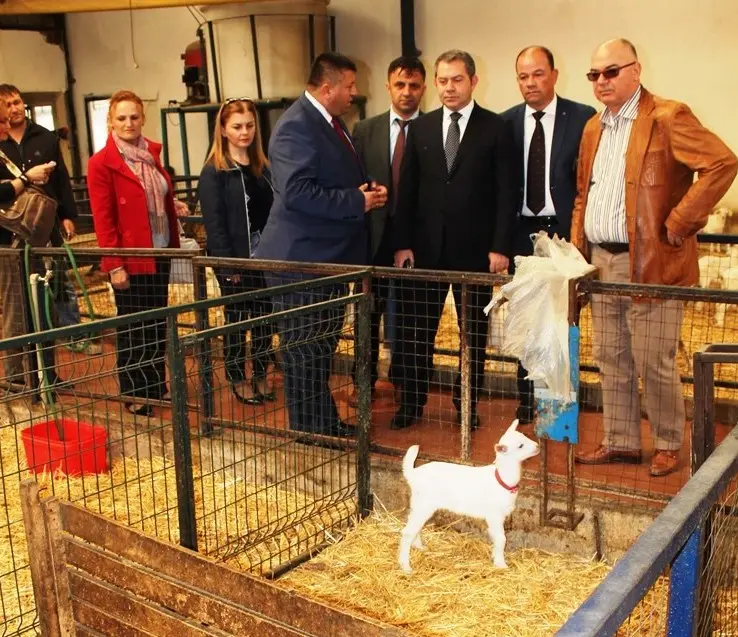Yeni İpek Yolu İzmir Arnavutluk arasında kuruluyor
