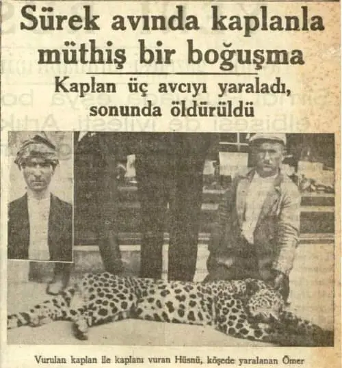Yıl 1936, Yer Seferihisar.. Avcılara kurban olan Anadolu Parsı
