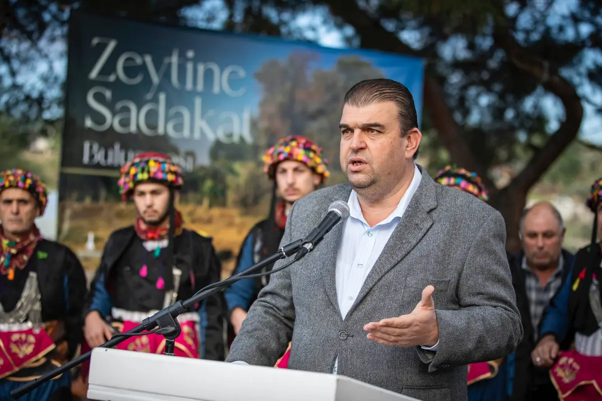 Zeytin ağaçları için zafer kutlaması