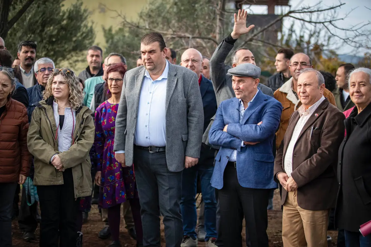 Zeytin ağaçları için zafer kutlaması