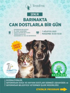 Barınakta can dostlarla bir gün: Etkinlik programı belli oldu