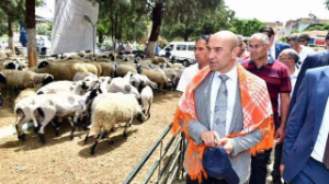 Büyükşehir’den tarım atağı