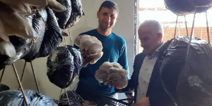 Destek aldılar, Seferihisar’da mantar işletmesi açtılar