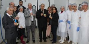Devlet desteği doğru ellerde şekillenmiş