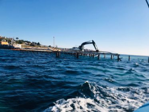 Eşek Adası dolgusuna büyük tepki!