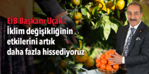 Küresel iklim krizi narenciyeyi vurdu