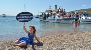 Orkinos çiftliğinde 6. perde: Mahkemeyle dalga geçiyorlar