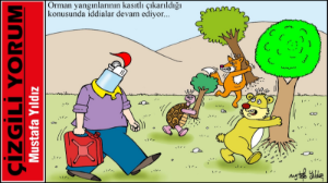 Orman yangınları