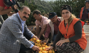 Satsuma mandalinanın ihracat yolculuğu başladı