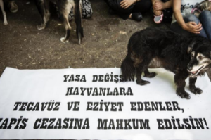 ‘Sır’ gibi saklanan Hayvan Hakları Yasası hüsrana uğrattı