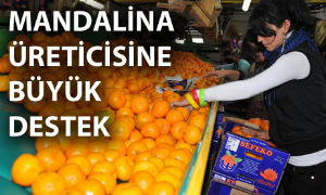 Üreticiye büyük destek