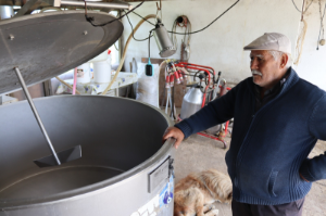 Yem fiyatları sürekli artarken süt fiyatında indirim yapılması besicileri zora soktu
