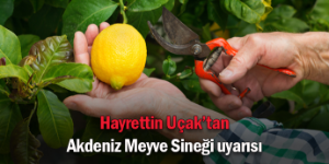 Yeni Casibom Canlı Casino Deneyimi ve İncelemesi